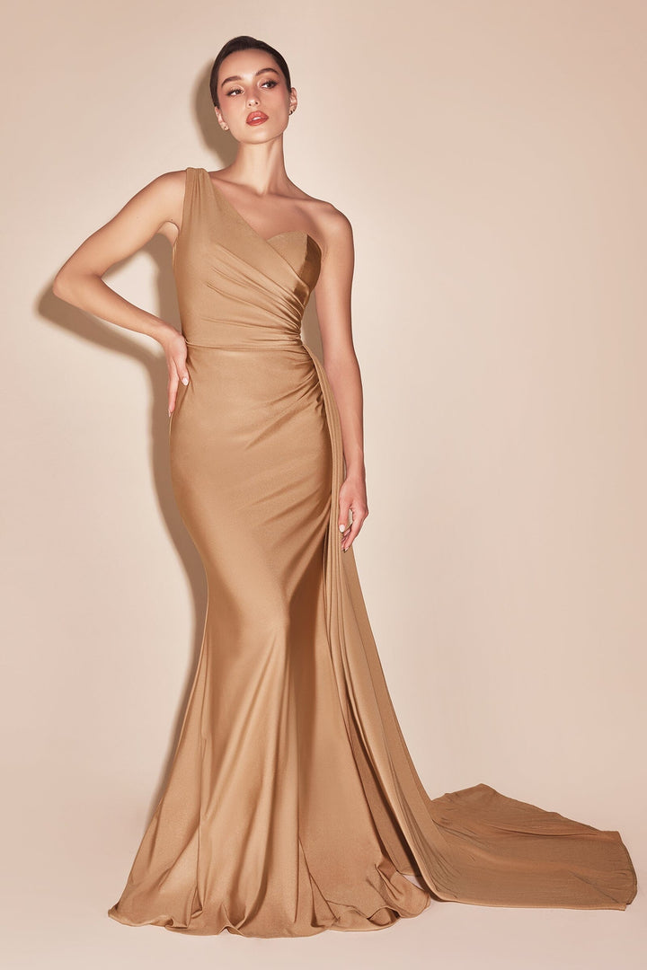 Long Fitted One Shoulder Satin Dress by Ladivine PT004 - Outlet