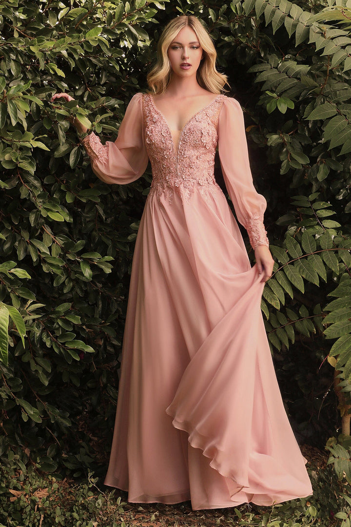 Long Sleeve Chiffon Gown by Cinderella Divine CD0183 - Outlet