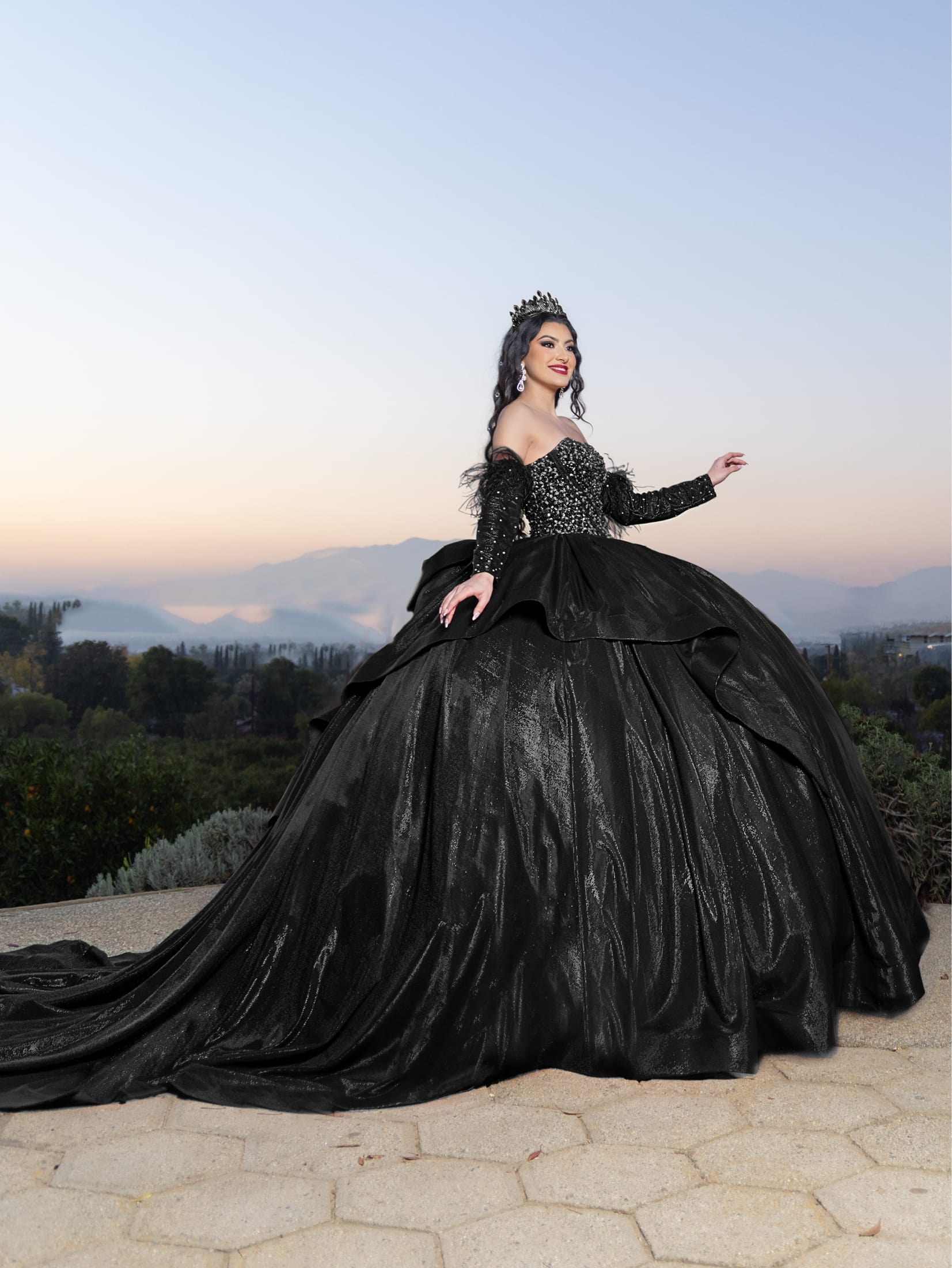 Long Sleeve Feather Ball Gown by LizLuo Quince 26097 – ABC Fashion