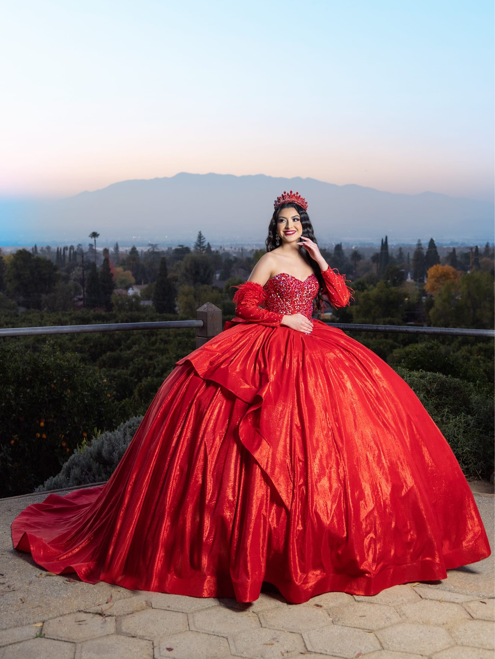 Long Sleeve Feather Ball Gown by LizLuo Quince 26097 – ABC Fashion