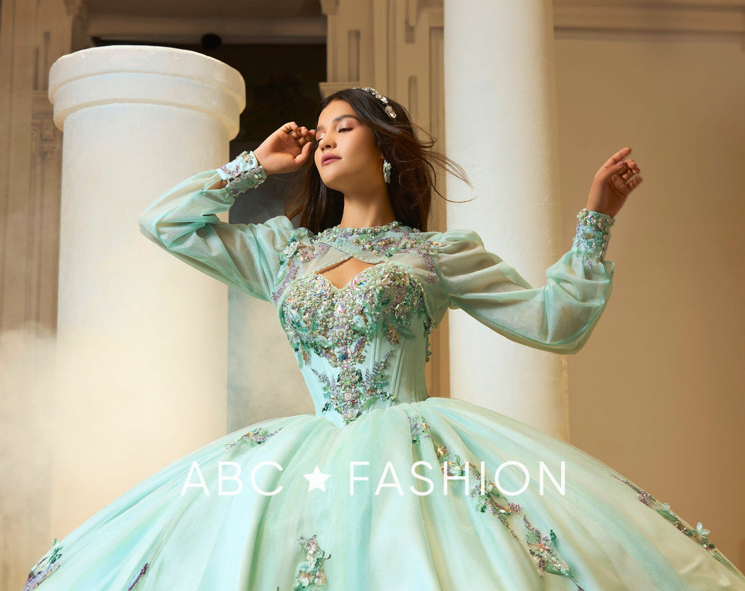 Long Sleeve Quinceanera Dress by Ragazza EV59-659
