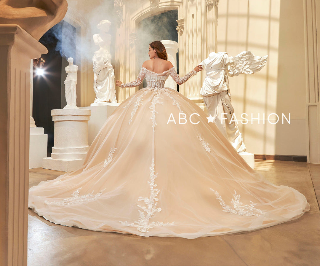 Long Sleeve Quinceanera Dress by Ragazza EV67-667