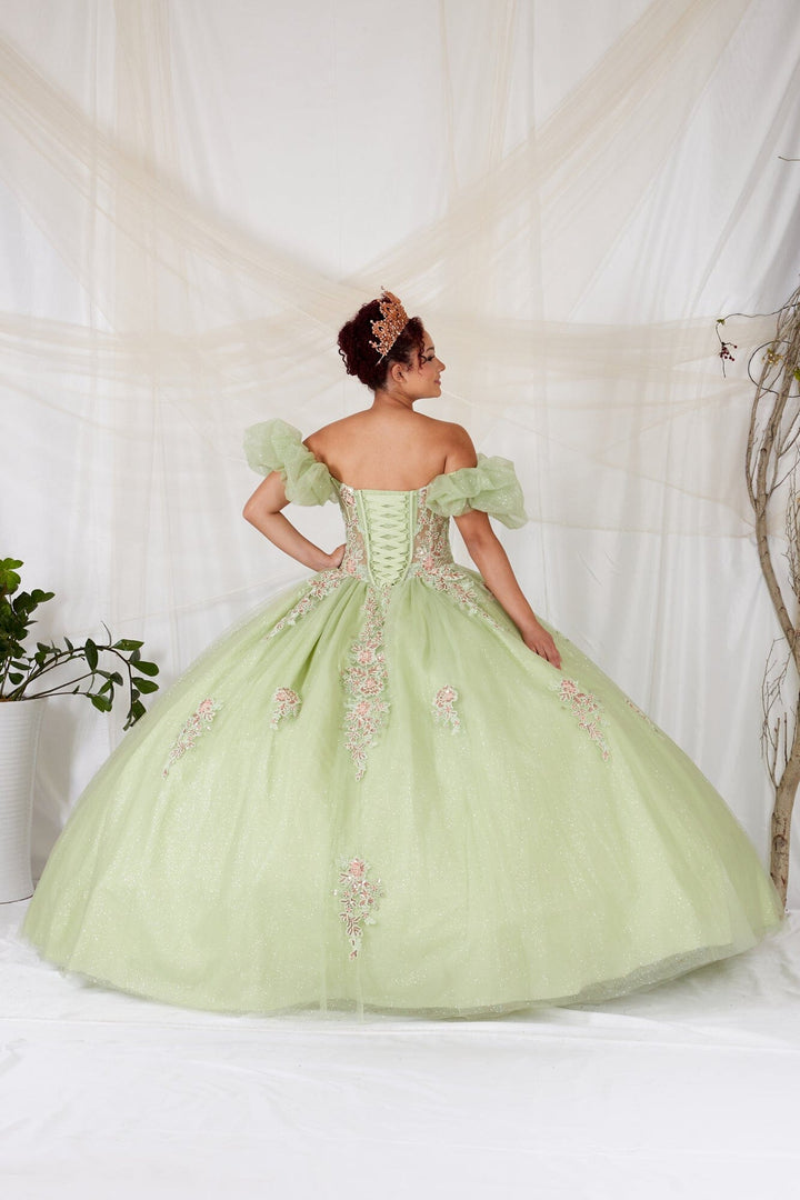 Off Shoulder Corset Ball Gown by Calla SCL-30012