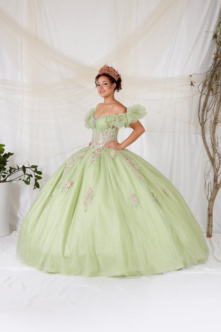 Off Shoulder Corset Ball Gown by Calla SCL-30012