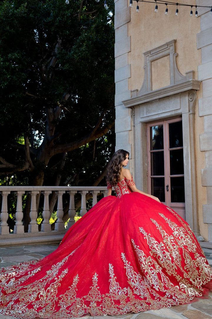 Off Shoulder Long Sleeve Ball Gown by Petite Adele PQ1065