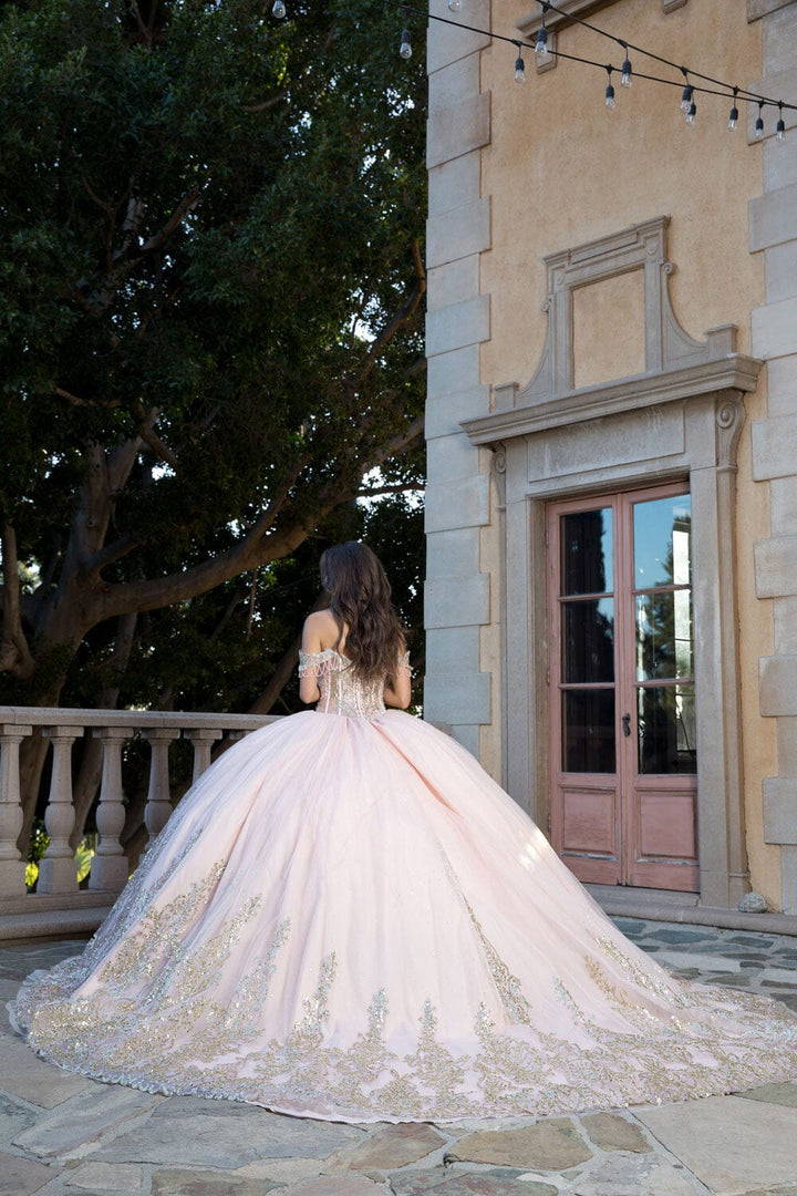 Off Shoulder Long Sleeve Ball Gown by Petite Adele PQ1065