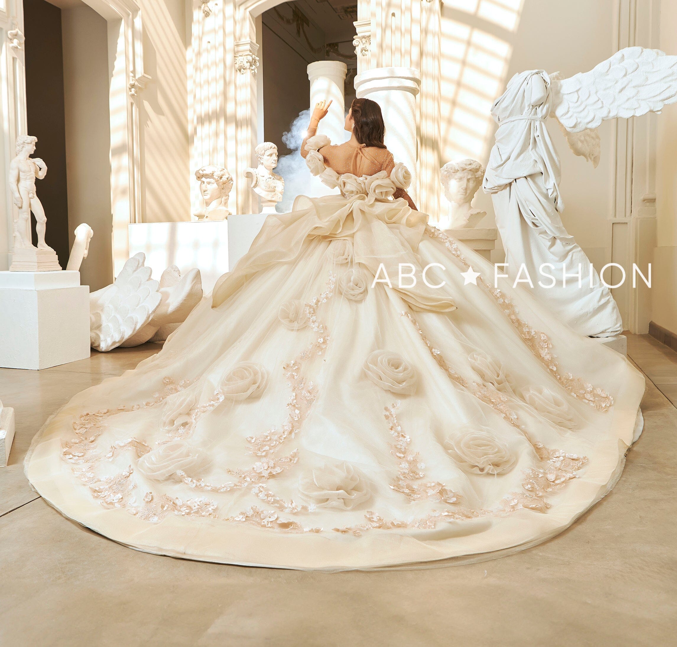 Rosette Quinceanera Dress by Ragazza EV63-663 – ABC Fashion