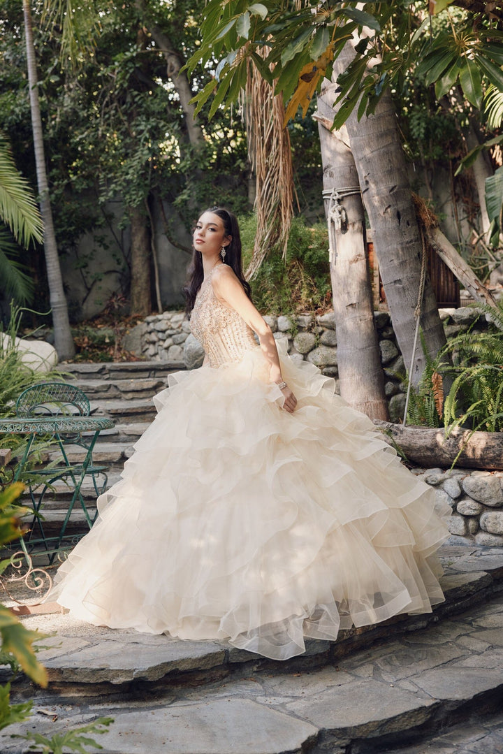Ruffled Sleeveless Illusion Ball Gown by Juliet 1423