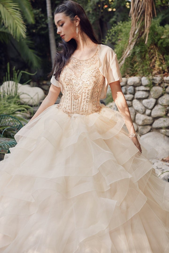 Ruffled Sleeveless Illusion Ball Gown by Juliet 1423