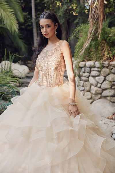 Ruffled Sleeveless Illusion Ball Gown by Juliet 1423