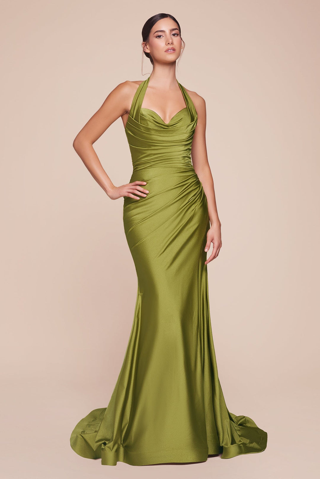 Satin Fitted Long Halter Slit Dress by Ladivine CD796