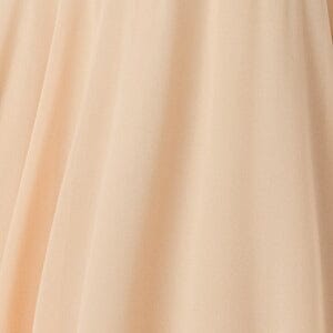 Short Beaded Dress with Pleated Waistband by Elizabeth K GS1052