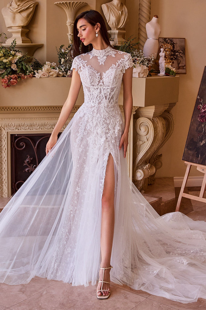 Short Sleeve A-line Bridal Gown by Ladivine WL035  ABC Fashion