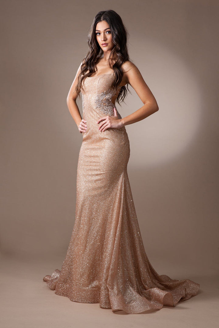 Sleeveless Glitter Mermaid Dress by Amelia Couture TM1014