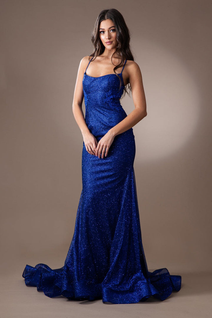 Sleeveless Glitter Mermaid Dress by Amelia Couture TM1014