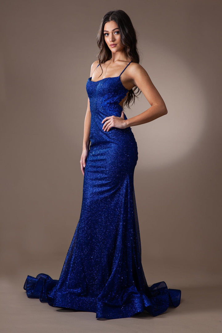 Sleeveless Glitter Mermaid Dress by Amelia Couture TM1014