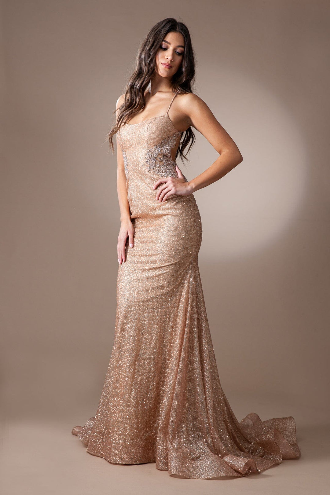 Sleeveless Glitter Mermaid Dress by Amelia Couture TM1014