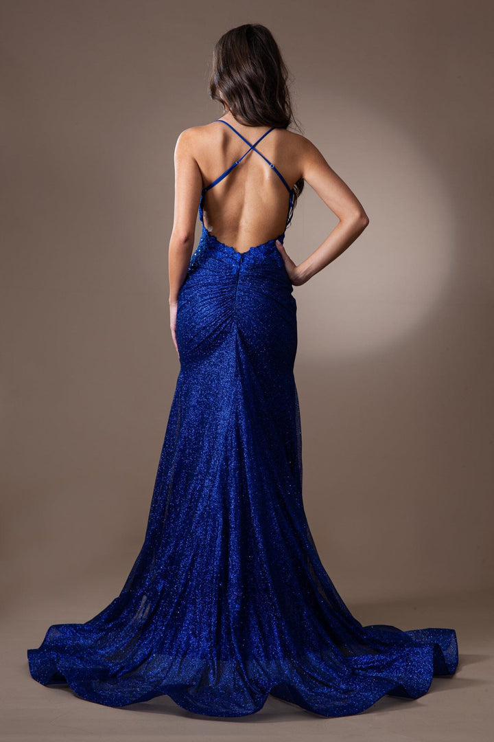 Sleeveless Glitter Mermaid Dress by Amelia Couture TM1014