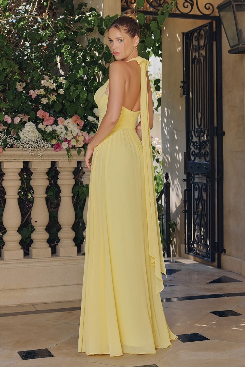 Amoris T715 Chiffon A-Line Halter Gown with Plunging V-Neckline Soft Coral / 3XL Amoris T715 Chiffon A-Line Halter Gown with Plunging V-Neckline Soft Coral / 3XL