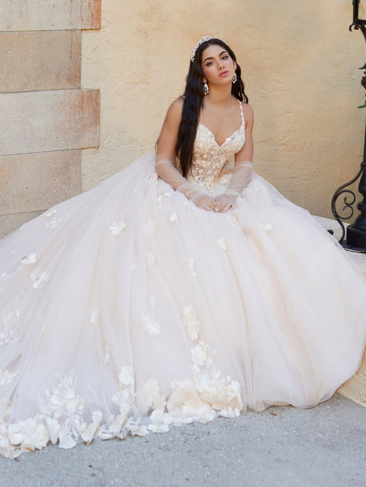 V-Neck Corset Quinceanera Dress by House of Wu 26064