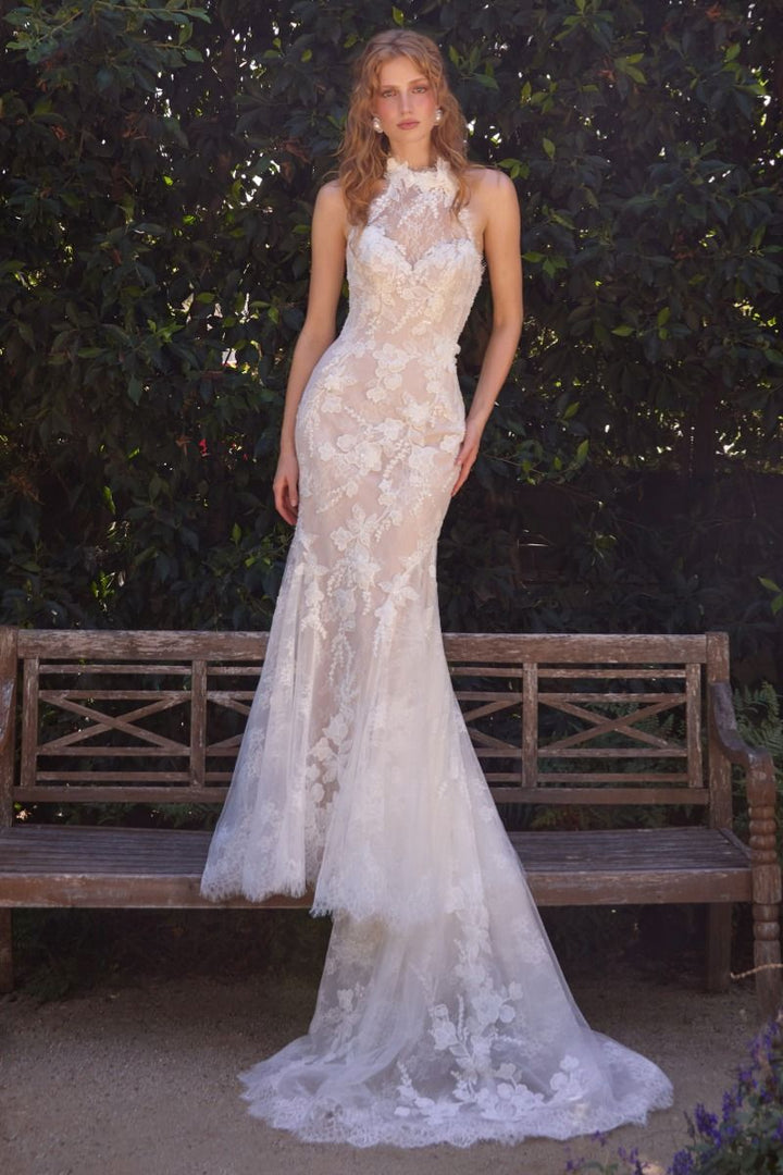 Lace Halter Bridal Mermaid Dress by Ladivine WL077