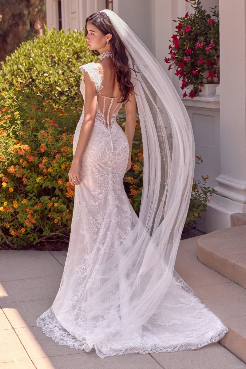 Lace Bridal Mermaid Dress by Ladivine WL080
