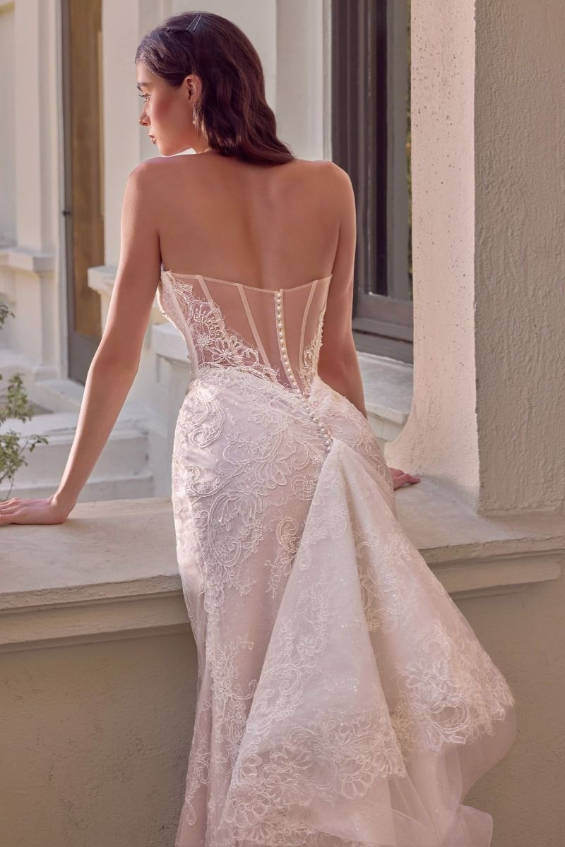 Lace Bridal Mermaid Dress by Ladivine WL080