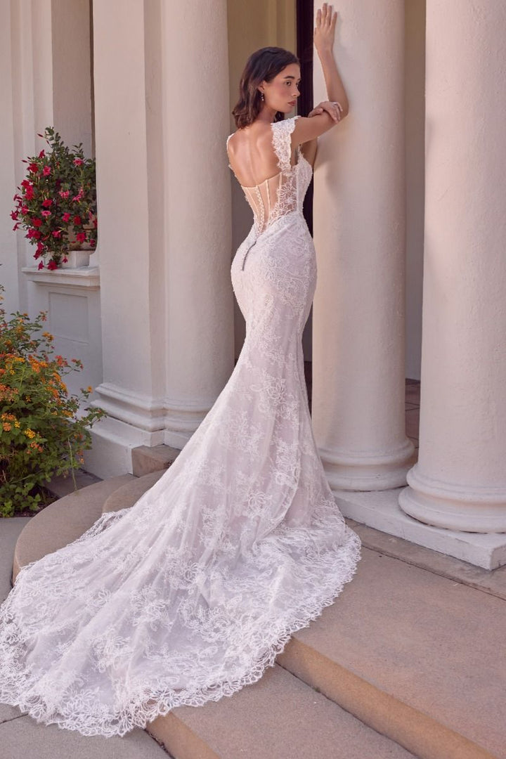 Lace Bridal Mermaid Dress by Ladivine WL080