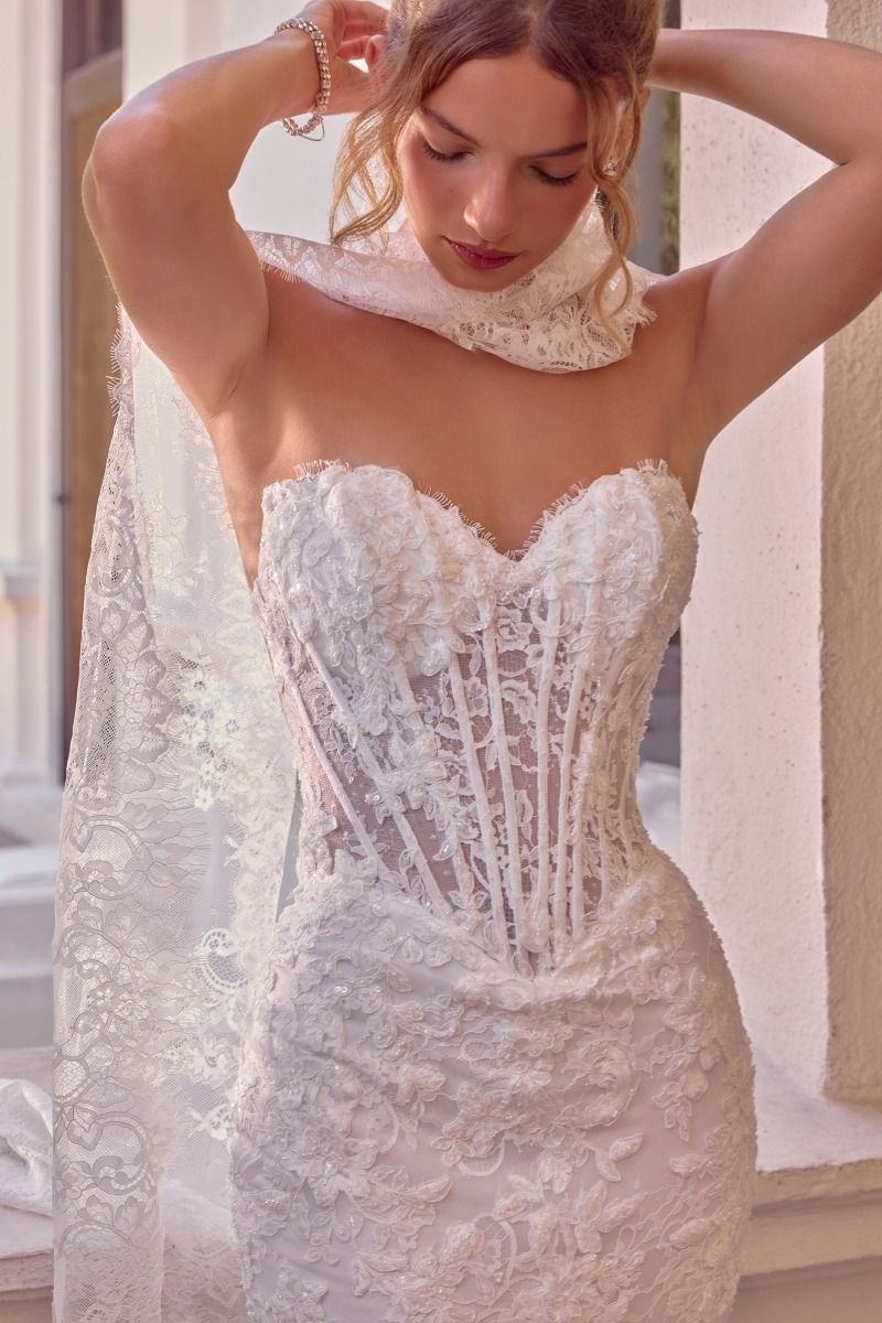 Strapless Bridal Mermaid Dress by Ladivine WL101