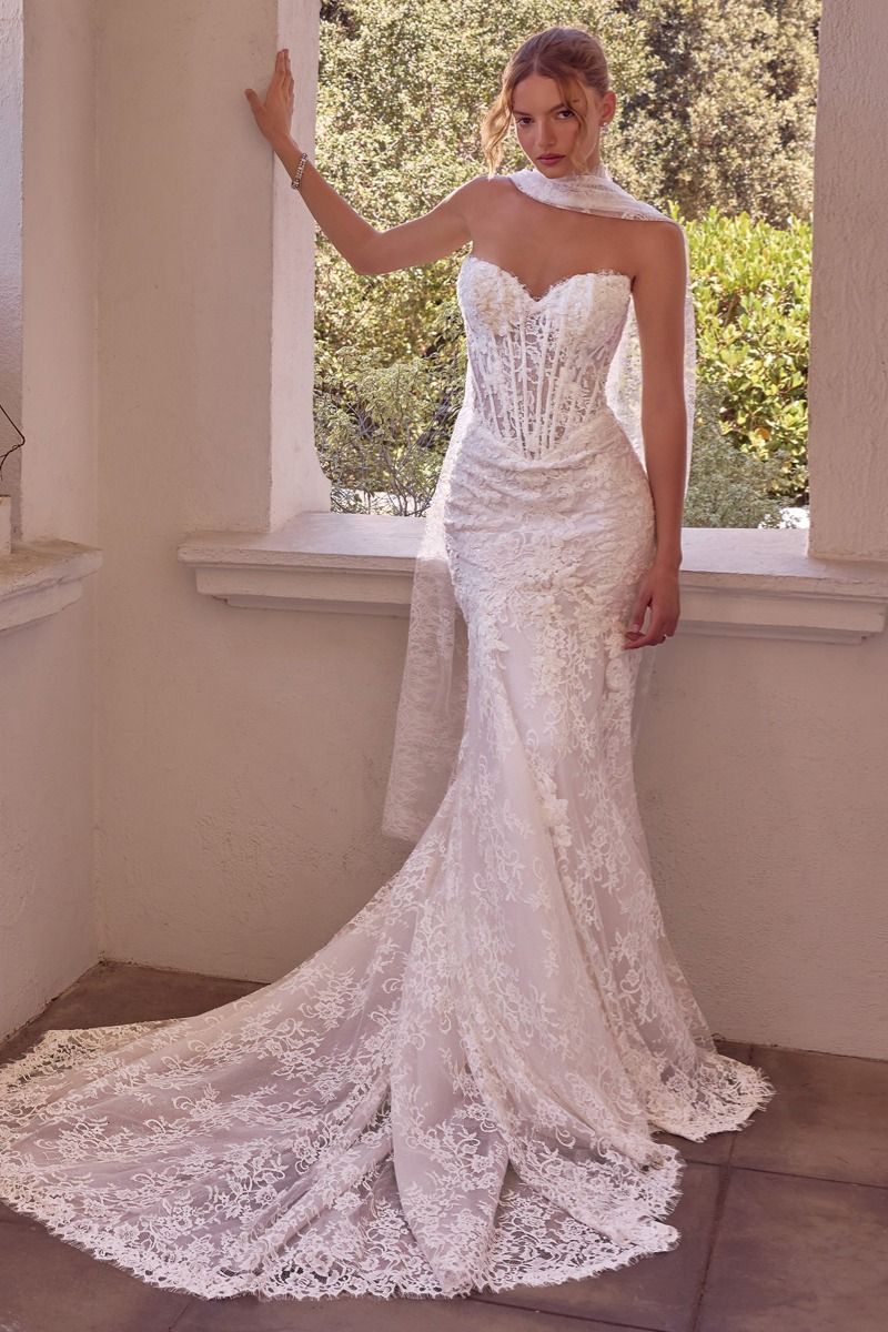 Strapless Bridal Mermaid Dress by Ladivine WL101