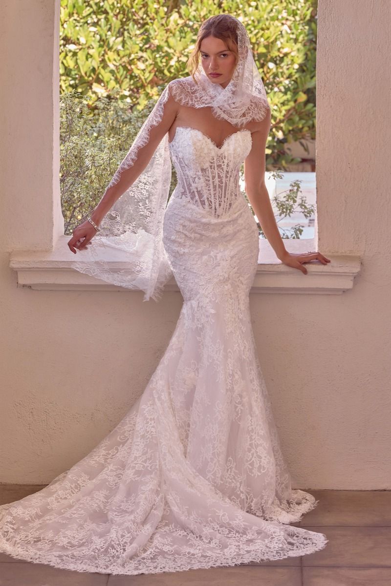 Strapless Bridal Mermaid Dress by Ladivine WL101