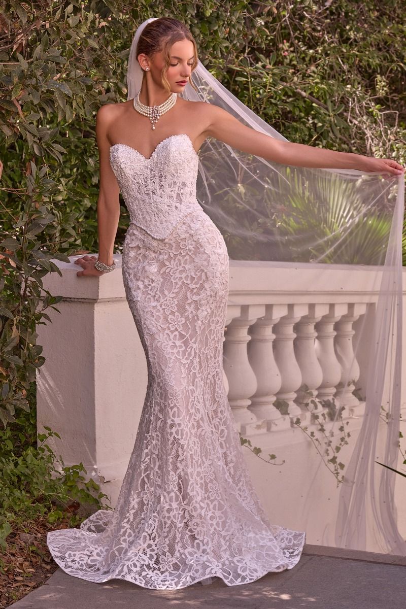 Strapless Bridal Mermaid Dress by Ladivine WL102