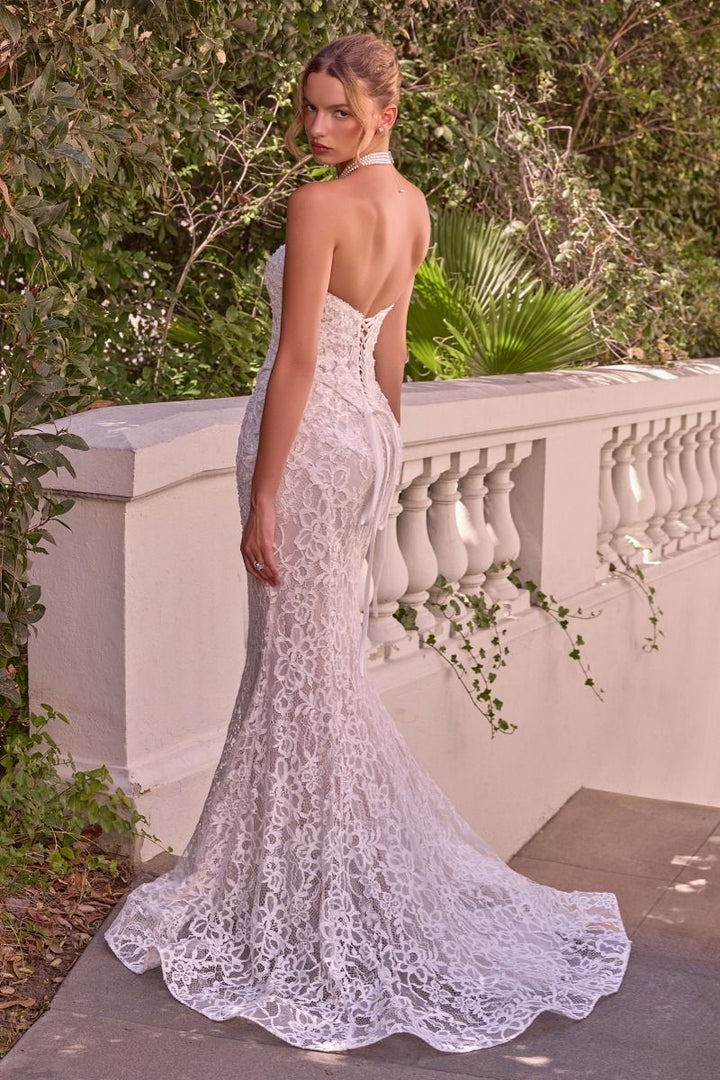 Strapless Bridal Mermaid Dress by Ladivine WL102