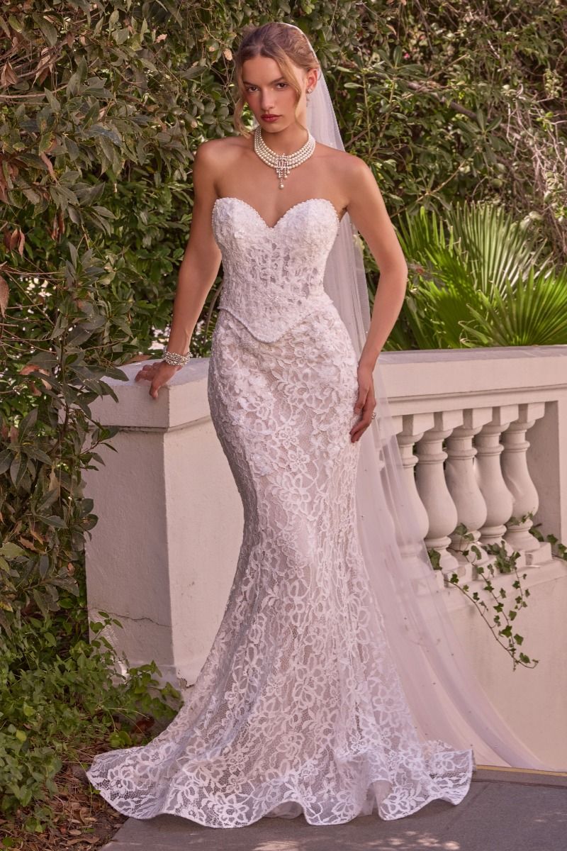 Strapless Bridal Mermaid Dress by Ladivine WL102