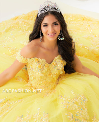 3D Floral Quinceanera Dress by House of Wu 26027