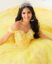 3D Floral Quinceanera Dress with Train by House of Wu 26027T