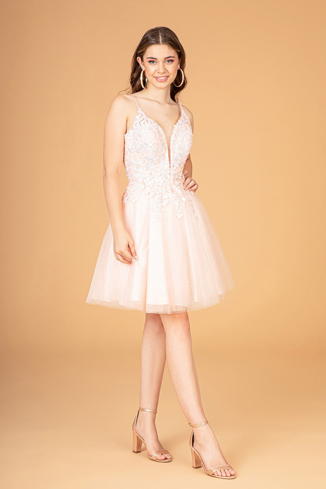 3D Floral Short A-line Dress by Elizabeth K GS3094