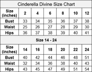 Applique A-line Chiffon Gown by Cinderella Divine TY11