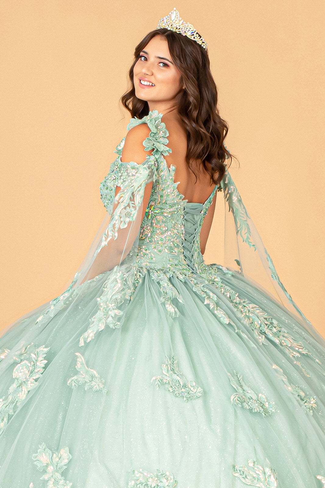 Applique Cape Sleeve Ball Gown by Elizabeth K GL3099