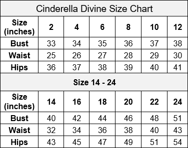 Applique Corset Gown by Cinderella Divine CD948