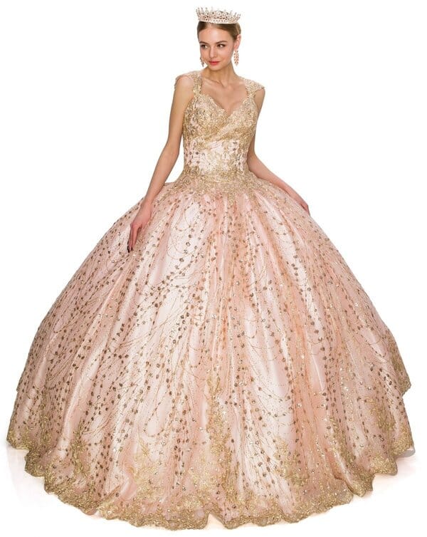Applique Glitter Ball Gown by Cinderella Couture 8024J