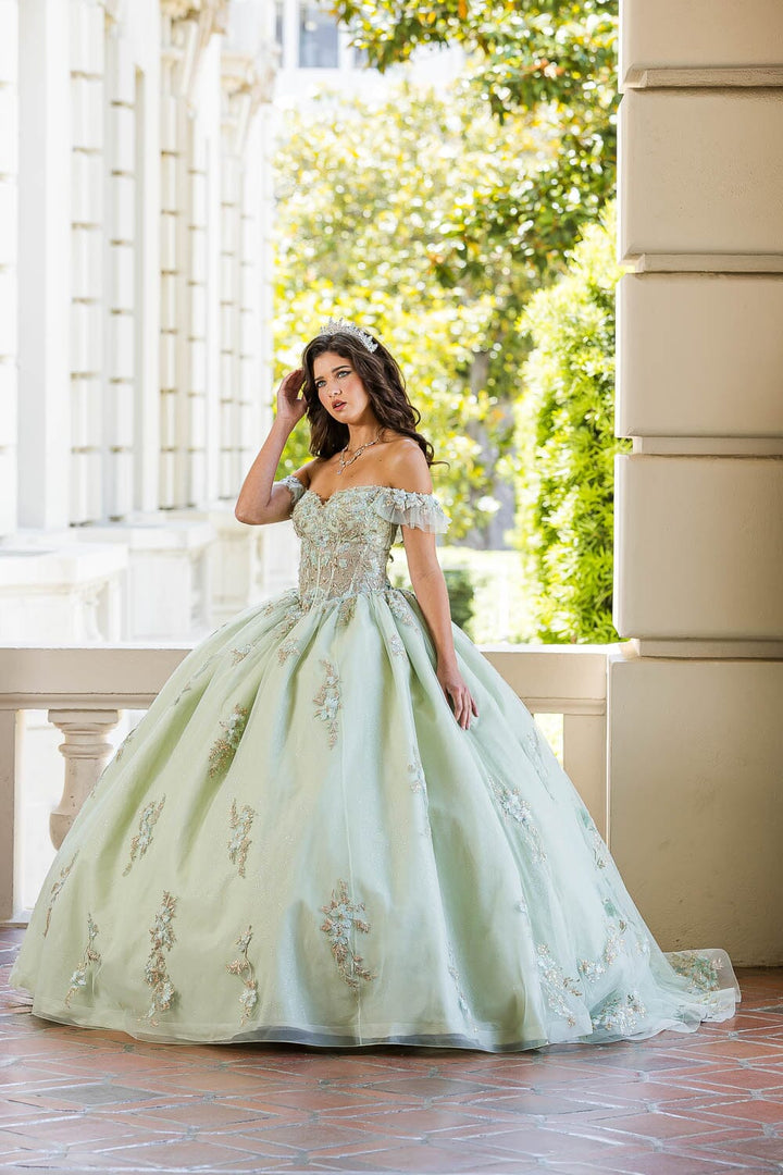 Applique Off Shoulder Corset Ball Gown by Petite Adele PQ1024