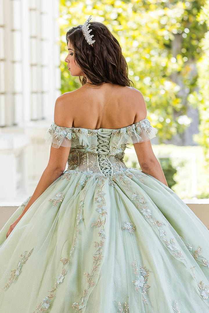 Applique Off Shoulder Corset Ball Gown by Petite Adele PQ1024