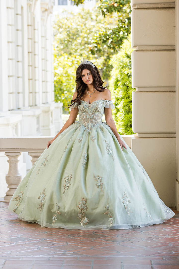 Applique Off Shoulder Corset Ball Gown by Petite Adele PQ1024