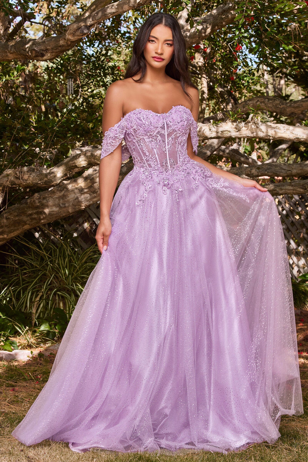 Applique Off Shoulder Tulle Gown by Ladivine CD0198