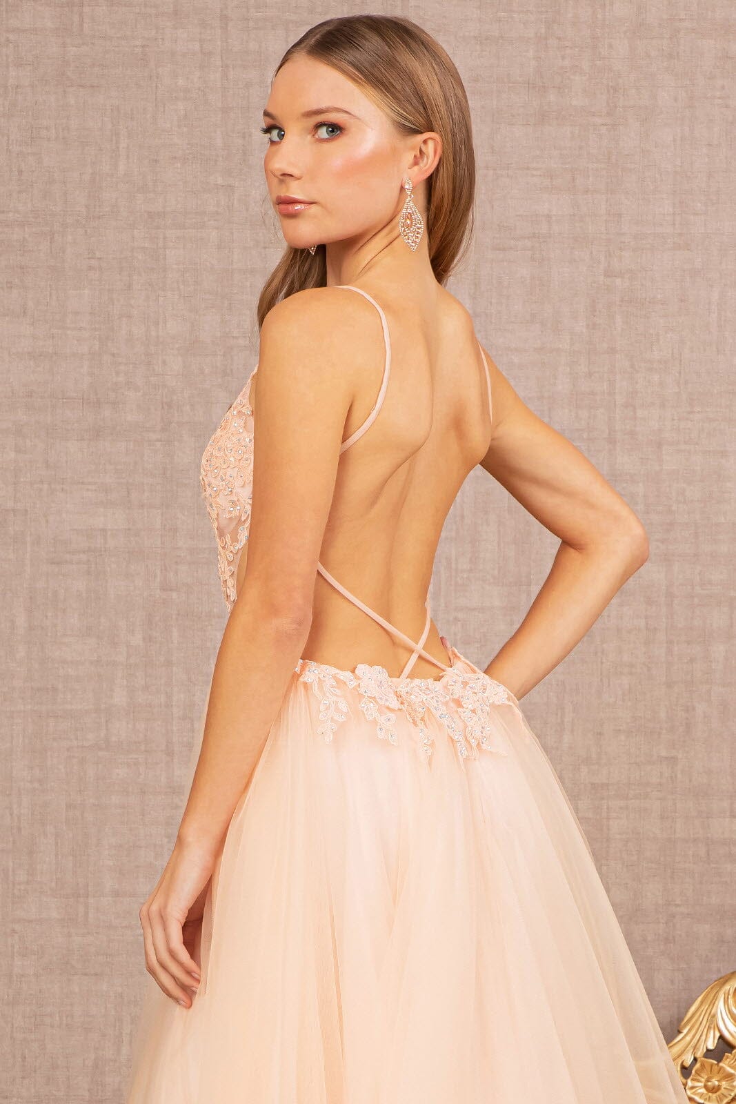 Applique Sleeveless A-line Gown by Elizabeth K GL3152