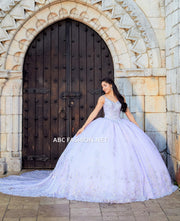 Applique V-Neck Quinceanera Dress by House of Wu 26040