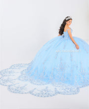 Applique V-Neck Quinceanera Dress by House of Wu 26040