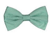 Aqua Paisley Bow Ties with Matching Pocket Squares-Men's Bow Ties-ABC Fashion