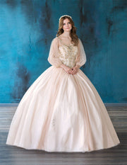 Beaded Long Sleeve Quinceanera Dress by Calla KY71289X